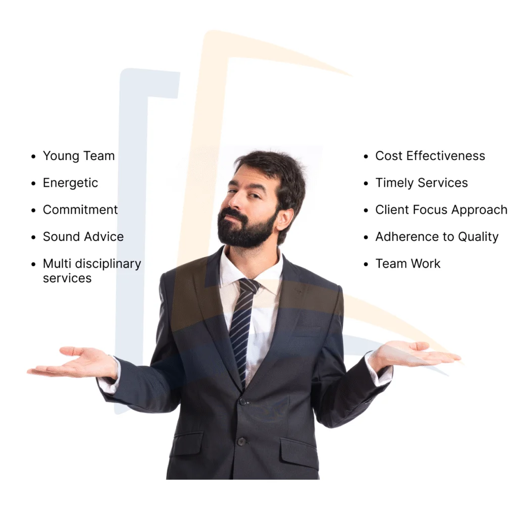 Professional team concept illustration